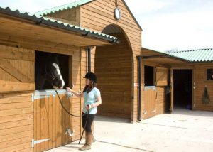 Timber Stable Complex Farmscape